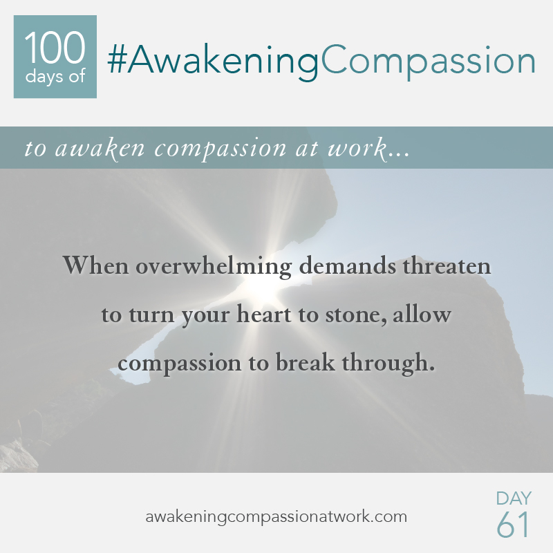 #AwakeningCompassion Day 61