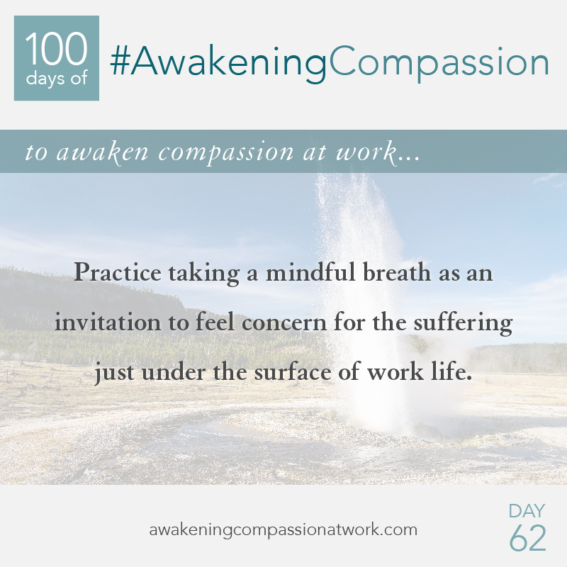 #AwakeningCompassion Day 62