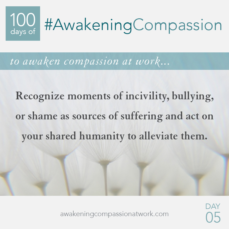 Recognize moments of incivility, bullying, or shame as sources of suffering and act on your shared humanity to alleviate them.